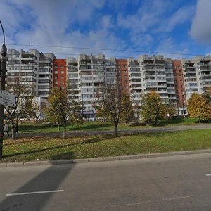 Dobroselskaya Street, 175, Vladimir: photo