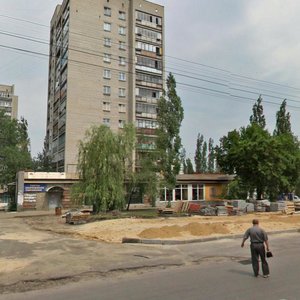 Воронеж, Улица Героев Сибиряков, 20: фото