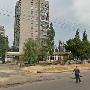 Geroev Sibiryakov street, 20, Voronezh: photo