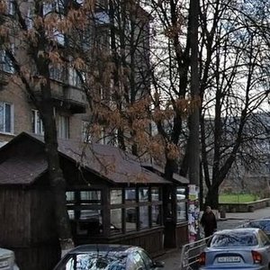 Nemyrovycha-Danchenka Street, 1, : foto