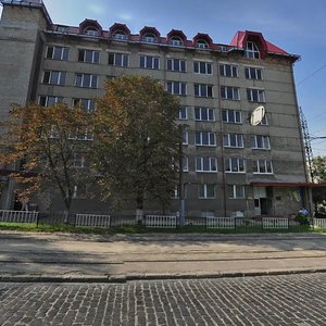 Lychakivska vulytsia, 128, Lviv: photo