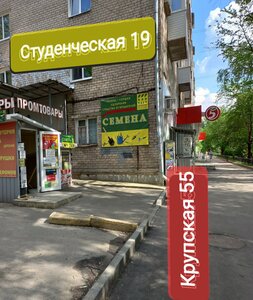 Studencheskaya Street, 19 ، بيرم: صورة