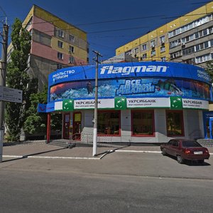 Berezynska Street, 26Б, Dnipro: photo