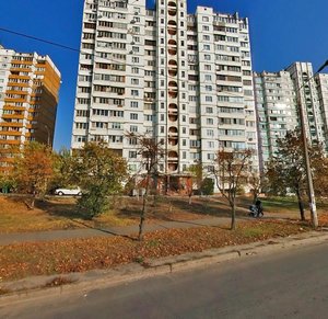 Raiduzhna Street, 33, Kyiv: photo