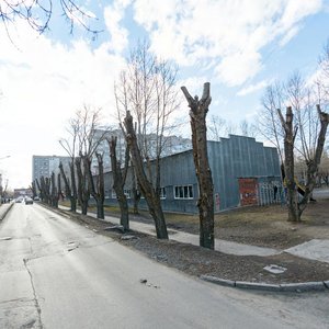 Pereulok Fonvizina, 5, Yekaterinburg: photo