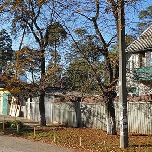 Verkhovynna Street, 60, Kyiv: photo