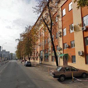 Vikentiia Khvoiky Street, 21, Kyiv: photo