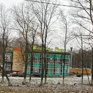 Нижний Новгород, Деревня Ольгино, 1А: фото