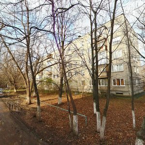 Lenin Avenue, 51к9, Nizhny Novgorod: photo