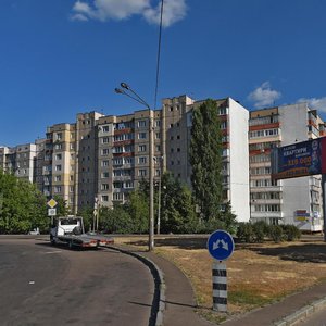 Arkhitektora Verbytskoho Street, No:22/1, Kiev: Fotoğraflar