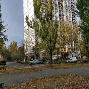 Ihoria Shamo Boulevard, 15 ، كييف: صورة