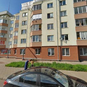 Vladimirskaya Street, 6, Lomonosov: photo