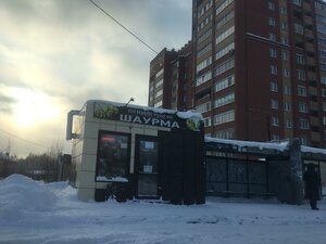 Klyuch-Kamyshenskoye Plato Street, 14к4, Novosibirsk: photo