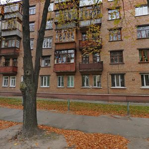 Martyrosiana Street, 13, Kyiv: photo