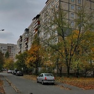 Cheliabinska Street, 3, Kyiv: photo