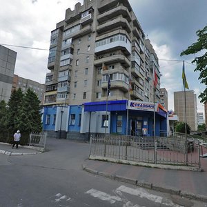 Vulytsia Pyrohova, 78А, Vinnytsia: photo