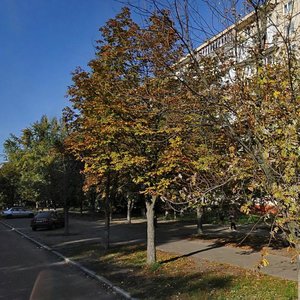 Akademika Kurchatova Street, 25/37, Kyiv: photo