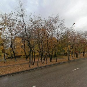 Pervomayskaya Street, 166 ، نوفوسيبيرسك: صورة