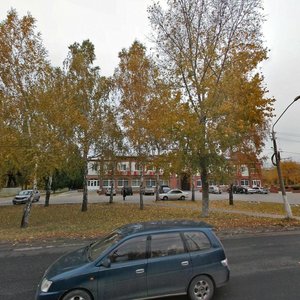 Antona Petrova Street, 210, : foto