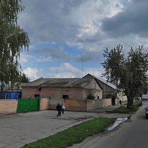 Kyivska vulytsia, 221, Brovary: photo