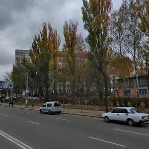 Vasylkivska Street, 37, Kyiv: photo