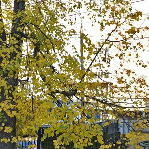 Studyonaya Street, 32, Nizhny Novgorod: photo