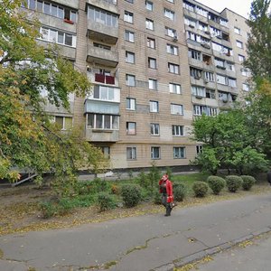 Starosilska Street, No:26, Kiev: Fotoğraflar