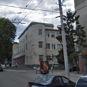 Vulytsia Pyrohova, 4, Vinnytsia: photo