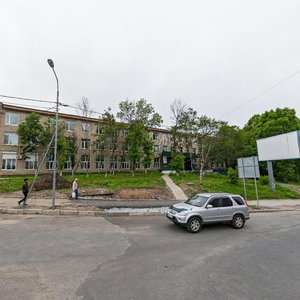 Владивосток, Улица Борисенко, 102: фото