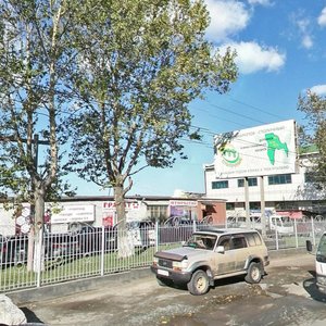 Zheleznodorozhnaya Street, 54 ، : صورة