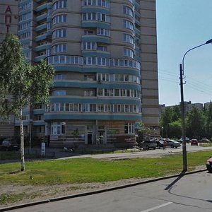 Udarnikov Avenue, 33, Saint Petersburg: photo