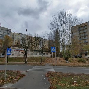 Dmytra Lutsenka Street, 11 ، كييف: صورة