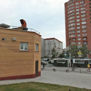 Dusi Kovalchuk Street, 252, Novosibirsk: photo