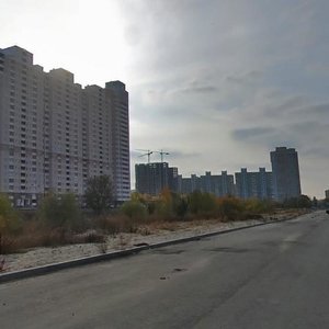 Zdolbunivska Street, 13, : foto