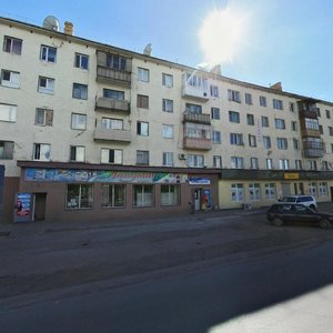 Boris Orlov Street, 111, Karaganda: photo