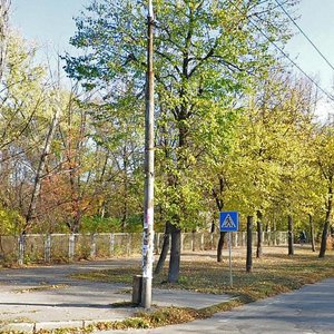 Vulytsia Serhiia Synenka, 16, Zaporizhia: photo