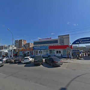 Trolleynaya Street, 19/1к5, Novosibirsk: photo