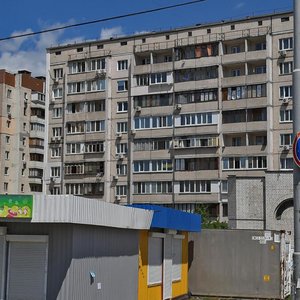 Petra Hryhorenka Avenue, 41, Kyiv: photo