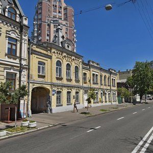 Sichovykh Striltsiv Street, 24, Kyiv: photo