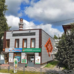 Sovetskaya Street, 109, : foto