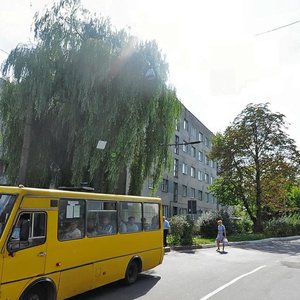 Videnska vulytsia, 8, Lviv: photo