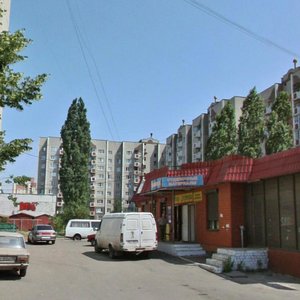 Vladimira Nevskogo Street, 44/1, Voronezh: photo