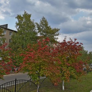 Mira Avenue, 18, Elabuga: photo