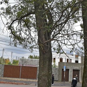 Ulitsa 16-y Polevoy uchastok, 1 ، كراسنودار: صورة