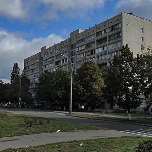 Marshala Rokosovskoho Avenue, 10, Kyiv: photo