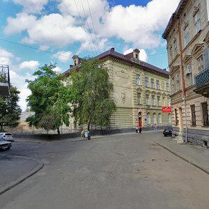 Tamanska vulytsia, 11, Lviv: photo