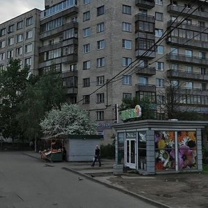 Ispytateley Avenue, 4Б, Saint Petersburg: photo