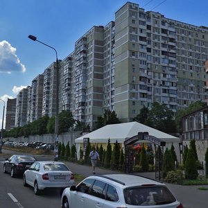 Sribnokilska Street, 14, Kyiv: photo