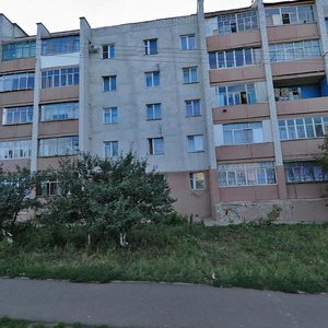 Veselovskogo Street, 27А, Saransk: photo