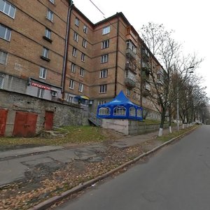 Umanska Street, 37, Kyiv: photo